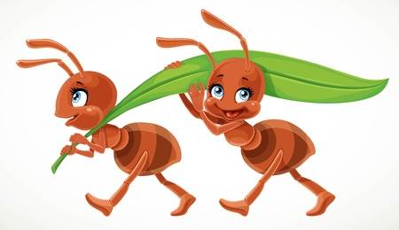 95279143-stock-vector-two-cute-cartoon-ant-carry-green-juicy-blade-of-grass-isolated-on-a-white-background.jpg